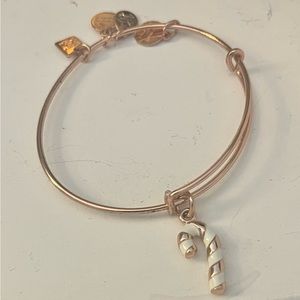 Alex and Ani Christmas bangle